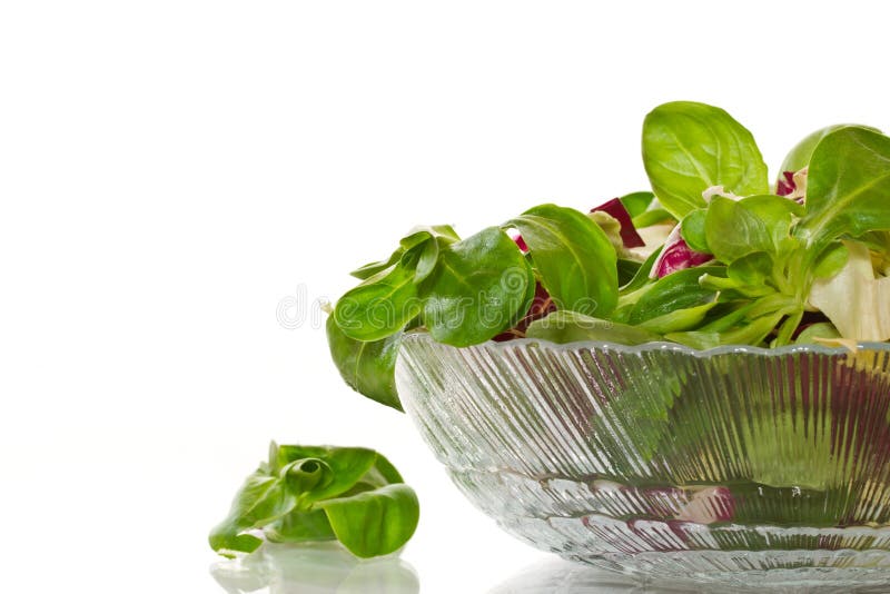 Fresh salad with arugula