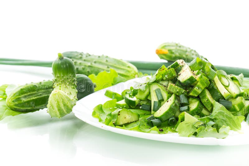 Fresh salad of cucumbers and greens in a plate isolated on white