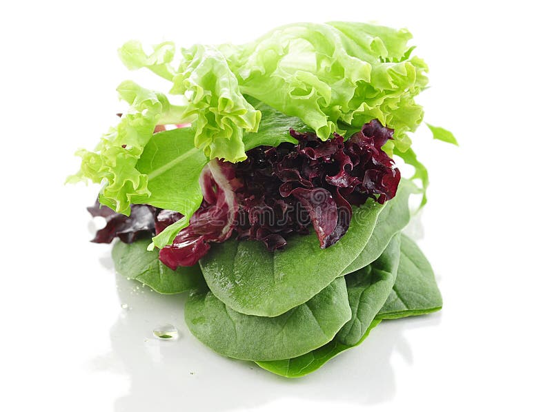 Fresh salad leaves stock image. Image of ingredient, health 314535