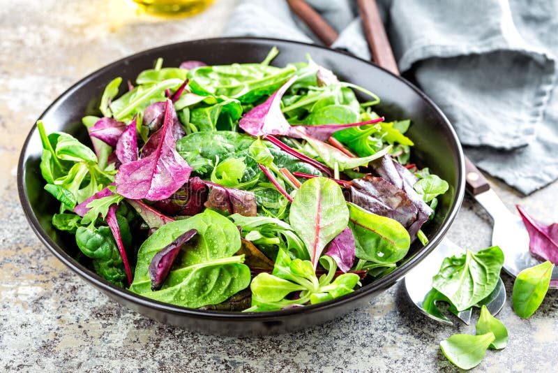 Fresh salad mix of baby spinach, arugula leaves, basil, chard and lambs lettuce