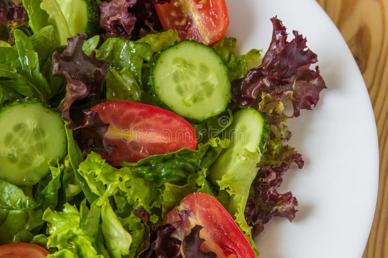 Fresh Salad with Mixed Greens, Cherry Tomato and Cucumber Stock Image Image of leaf