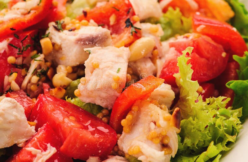 Fresh Salad with Tomato Salad and Meat Stock Photo Image of dieting, close 157044306