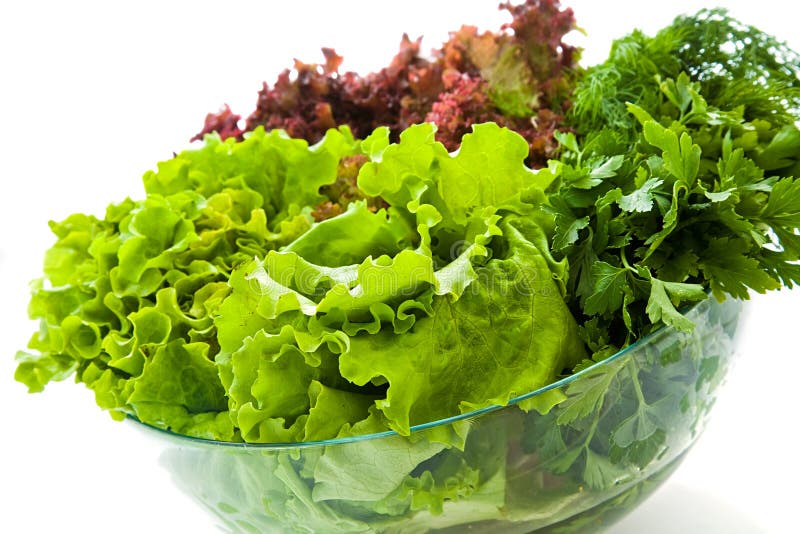 Fresh salads stock photo. Image of dieting, fiber, leaf 5510446