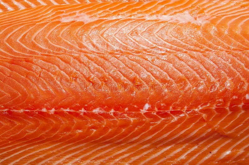 Fresh salmon fillet