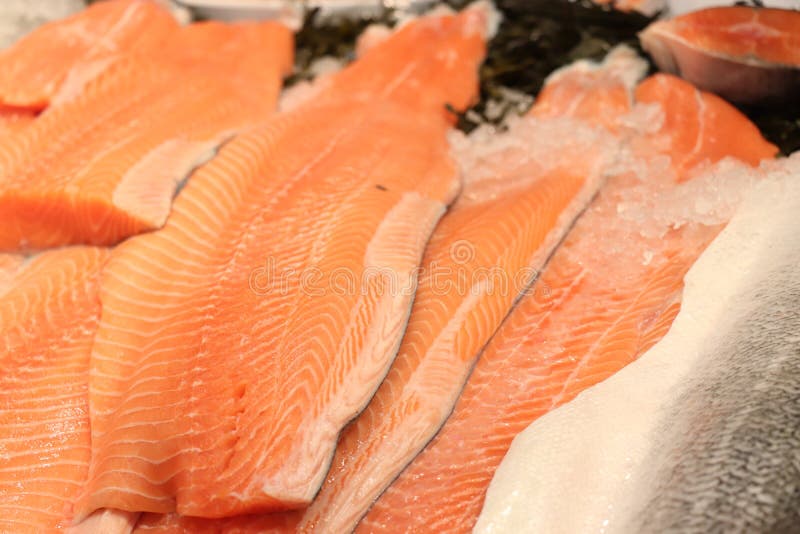 Fresh Salmon at a Fish Market Stock Image Image of retail, delicious
