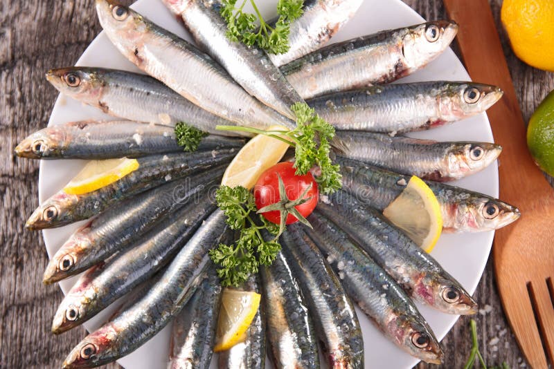 Fresh sardine fish stock image. Image of sardines, nice 18086703