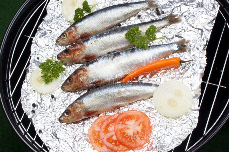 Fresh Sardines before Cooking As Food Stock Photo Image of diet