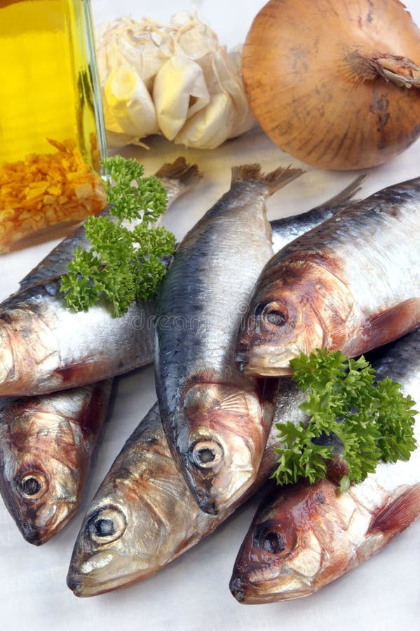 Fresh Sardines before Cooking As Food Stock Photo Image of diet, head