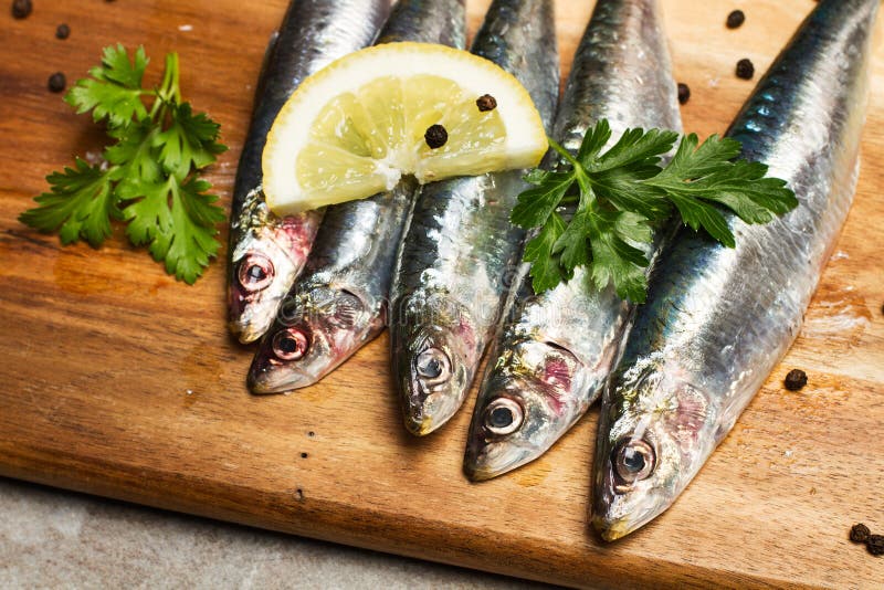 Fresh Sardines for a Good Dish Stock Image Image of sardines, healthy
