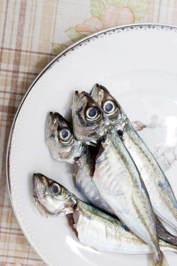 Fresh sardines or mackerel stock photo. Image of food 116022788