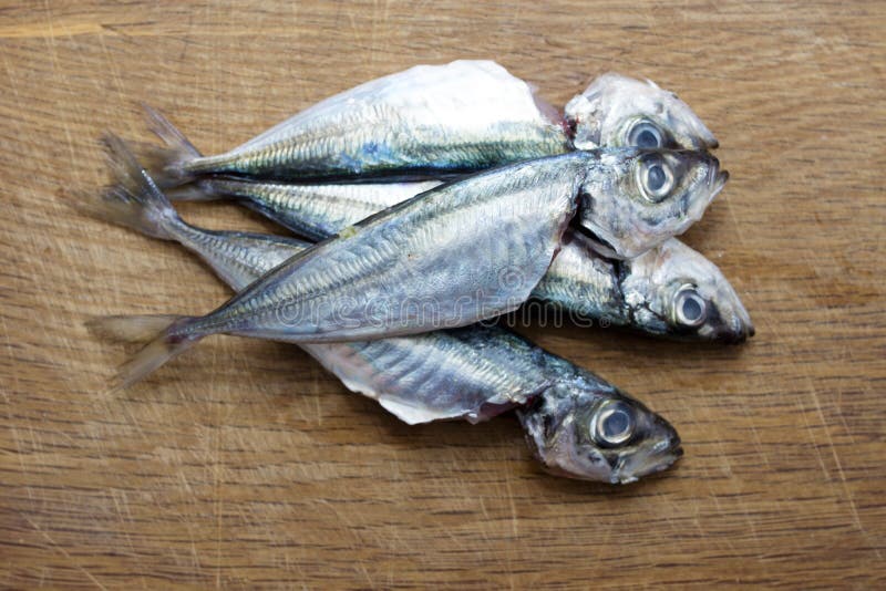 Fresh sardines or mackerel stock photo. Image of supermarket 116022656