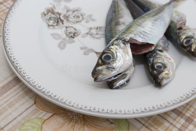 Fresh sardines or mackerel stock photo. Image of fresh 116022674