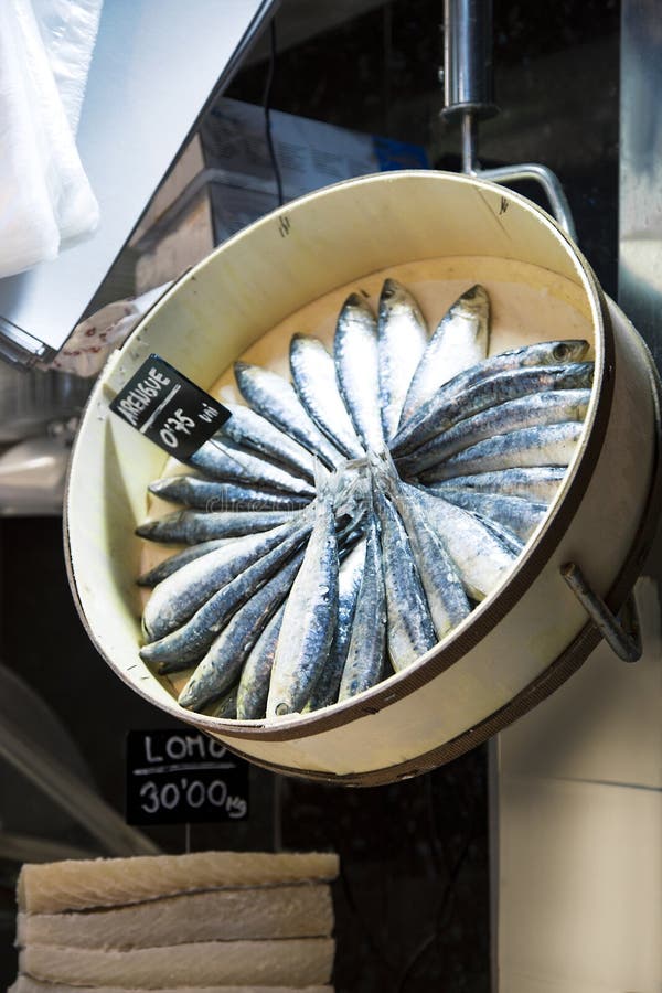 Sardines in the market stock photo. Image of sardine 21375802