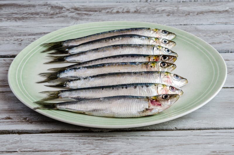 Fresh sardines stock photo. Image of sardine, whiting 47579076