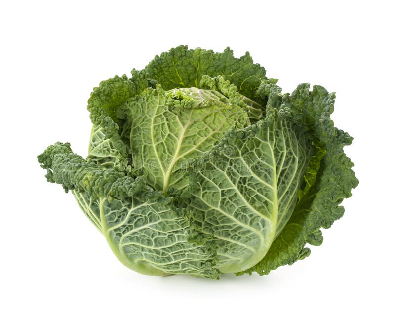 Fresh savoy cabbage