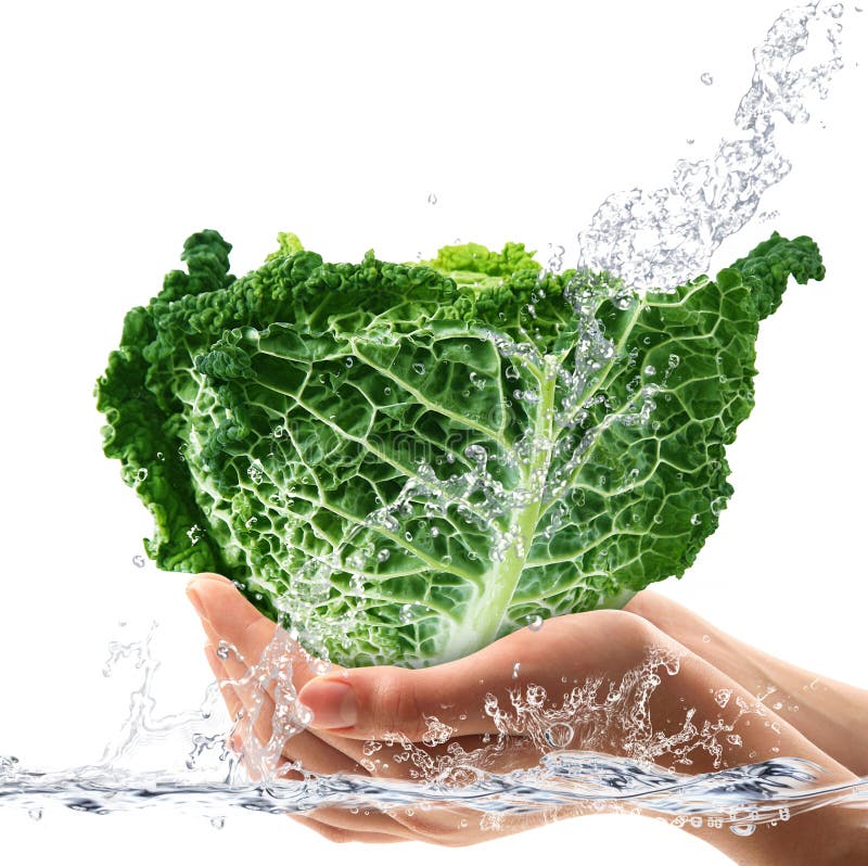 446 Water Splash Cabbage Stock Photos Free & RoyaltyFree Stock