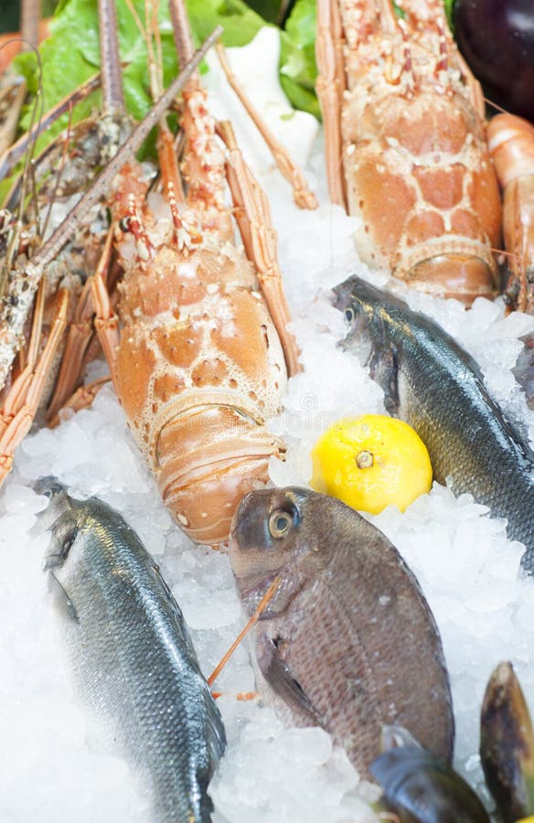Fresh seafood stock photo. Image of meal, diet, ocean 26540888