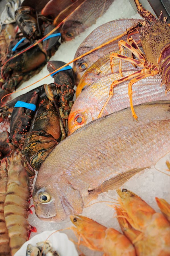 Fresh seafood stock image. Image of close, food, diet 32991449