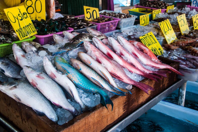 Fresh Seafood on the Market Stock Photo Image of lunch, ocean 47886032