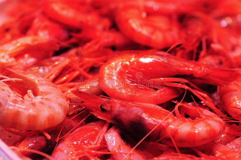 Fresh Seafood Photographed in a Fishmarket. Stock Image Image of
