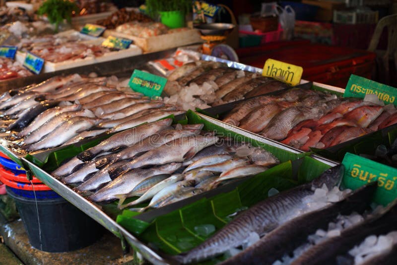 Fresh seafood shop stock photo. Image of shop, shishamo - 57984824
