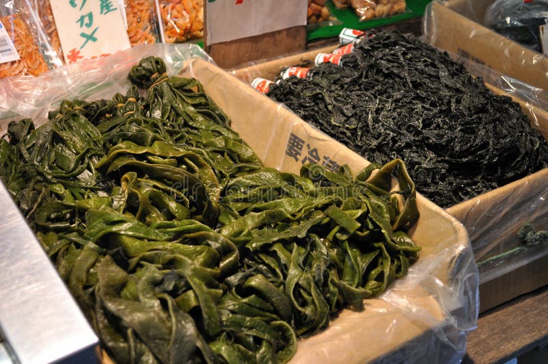 Fresh seaweed stock photo. Image of boxes, displayed 18270764