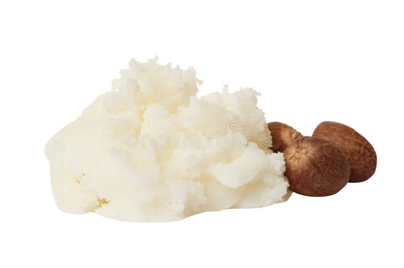 Fresh shea butter lump and nuts on white stock image