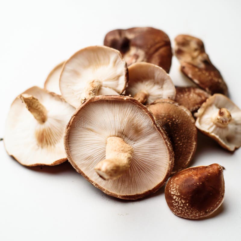 Fresh shiitake mushrooms