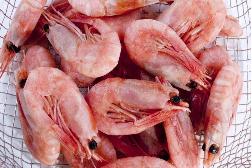 Fresh shrimp after cooking stock image. Image of dinner 21674445