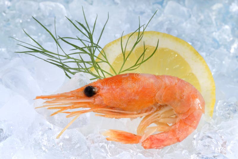 Fresh shrimp on ice