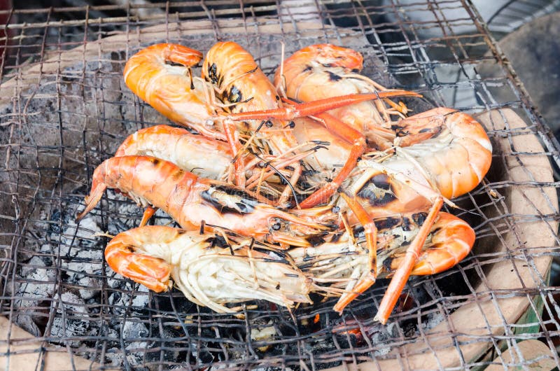 Fresh Shrimp Place on the Grill Stock Photo Image of beach, seafood