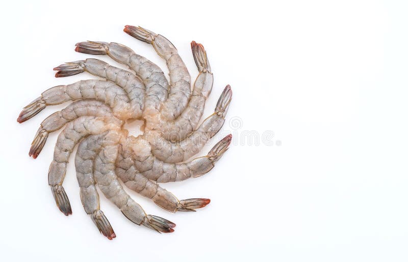 Fresh shrimp/prawn stock image. Image of shellfish, crustacean 240944141