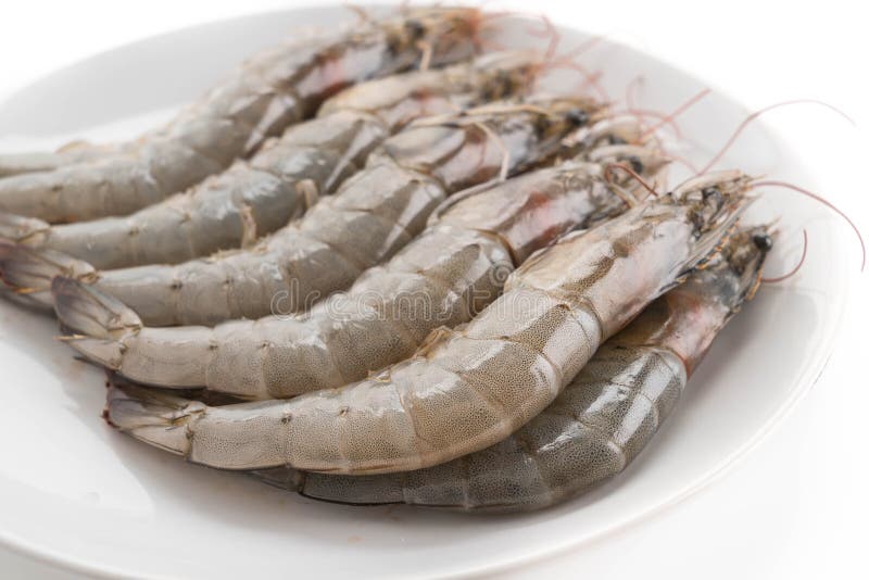 Fresh shrimp/prawn stock image. Image of freshness, food 90594009