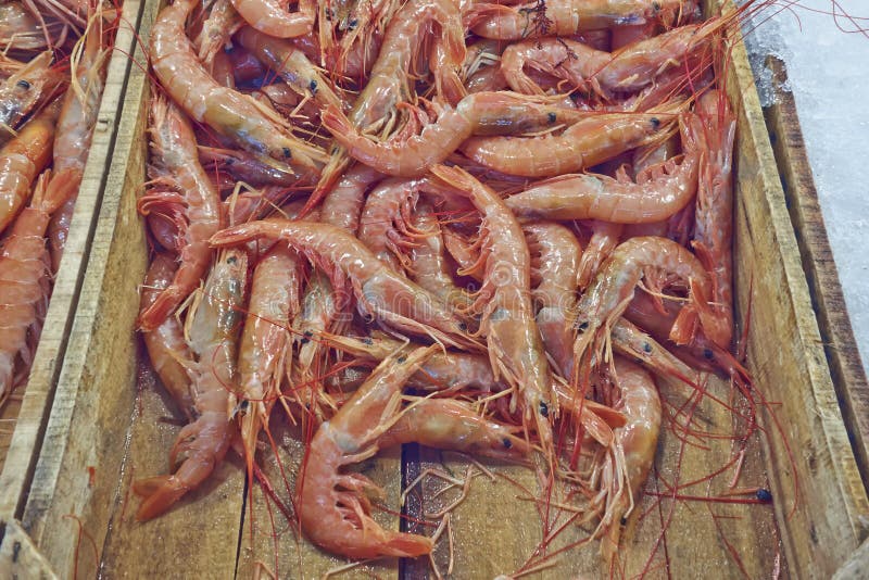 Fresh shrimps closeup stock photo. Image of crustacean 28911766