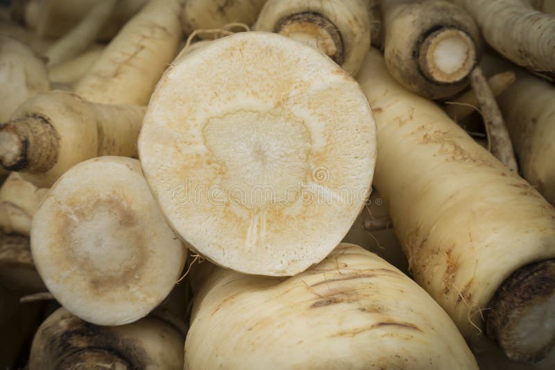 Fresh Sliced Parsnip royalty free stock image