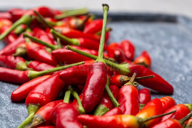 Fresh Small Red Hot Chili Peppers on Grey Background Stock Photo
