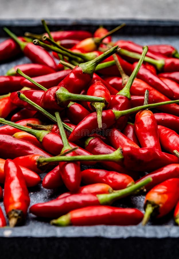 Fresh Small Red Hot Chili Peppers on Grey Background Stock Photo