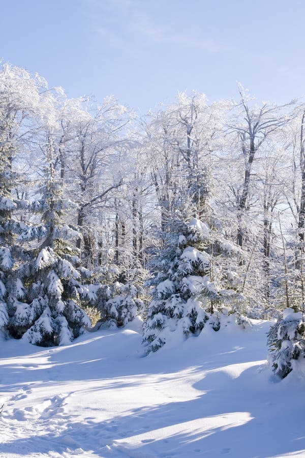 Mountains covered with fresh powder snow. Mountains covered with fresh powder snow