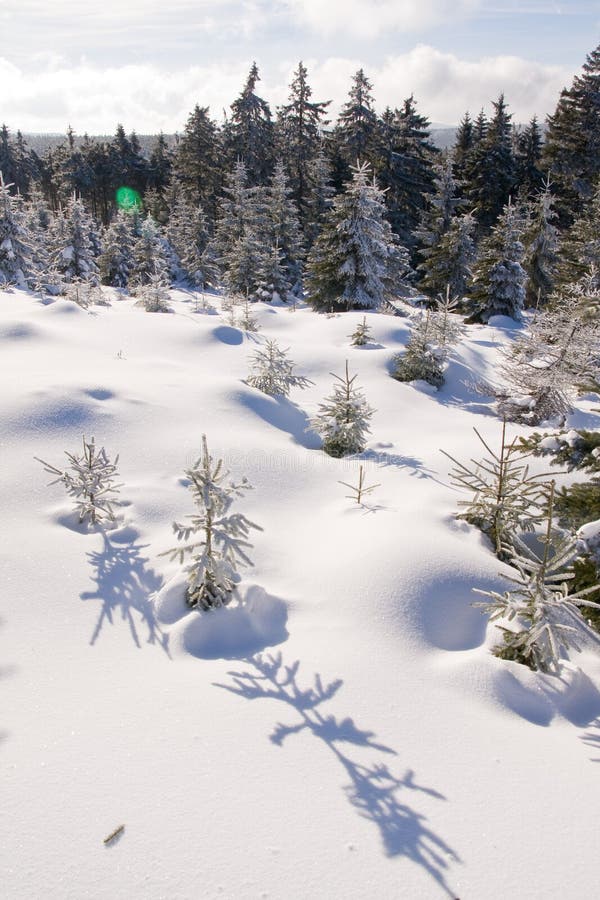 Mountains covered with fresh powder snow. Mountains covered with fresh powder snow