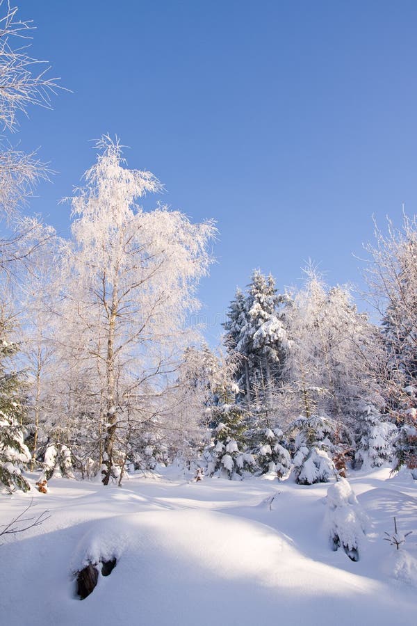 Mountains covered with fresh powder snow. Mountains covered with fresh powder snow