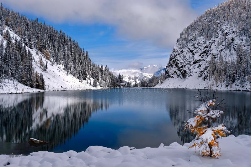 Fresh snow on mountains and trees by alpine lake on a sunny winter day with golden larch tree covered with snow on lake shore.