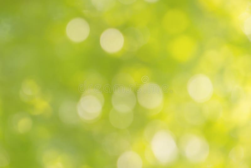 Những hiệu ứng Bokeh sẽ khiến cho bức ảnh của bạn trở nên lãng mạn và thơ mộng hơn bao giờ hết. Hãy cùng ngắm nhìn những hình ảnh đẹp như mơ, lấp lánh như cánh hoa, từ một hiệu ứng bokeh tuyệt vời.