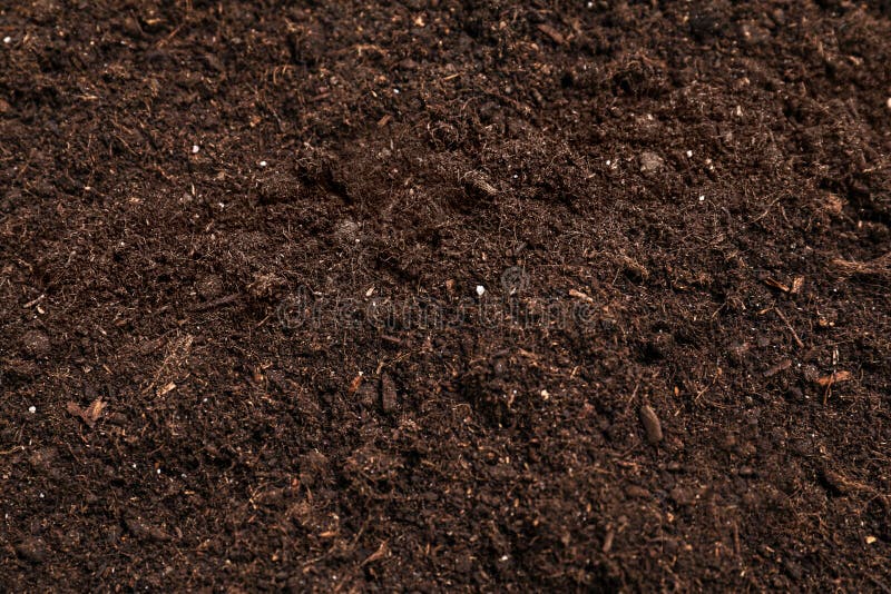Close Up Photo Of Brown Soil In A Garden Stock Photo - Download Image Now -  Dirt, Dirty, Textured - iStock