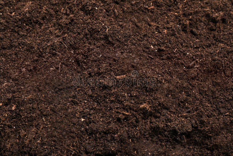 406,841 Soil Background Stock Photos - Free & Royalty-Free Stock Photos  from Dreamstime