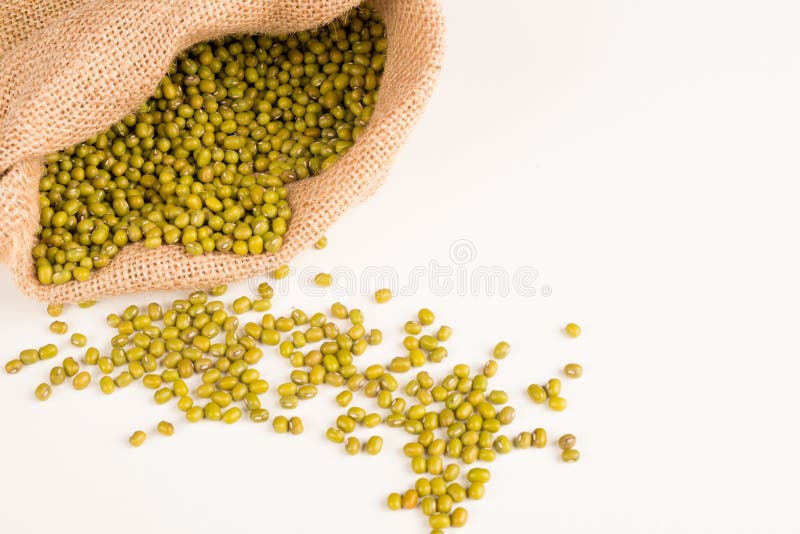 Fresh soy beans stock photo. Image of nutrition, food 37917210