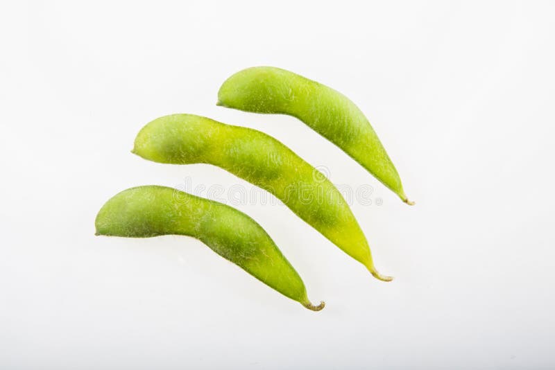 Fresh soya beans stock image. Image of vegetable, protein 51823431