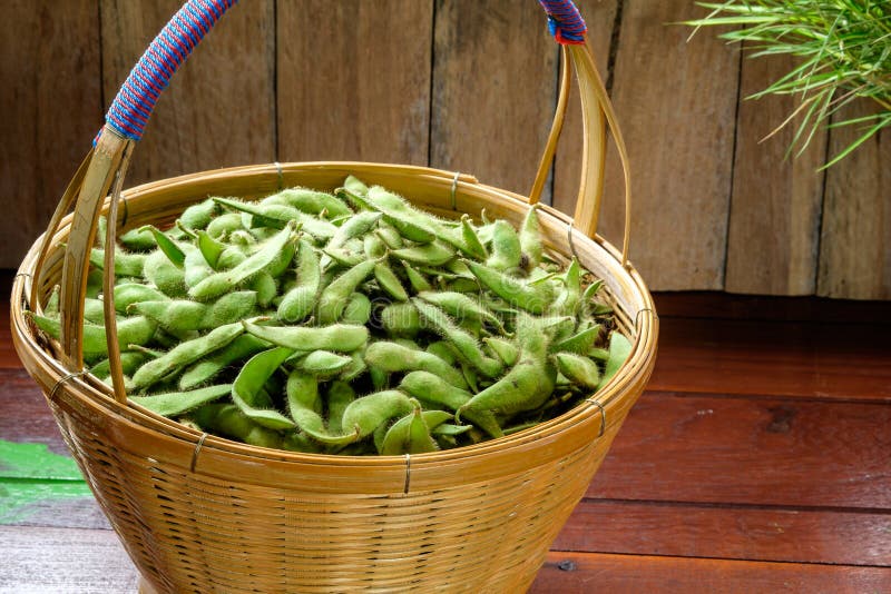 Fresh soybean in wicker basket on the table