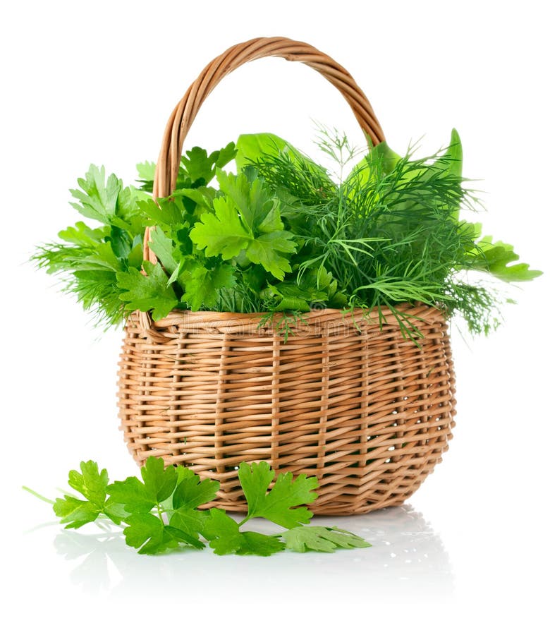 Fresh spicy herbs in basket