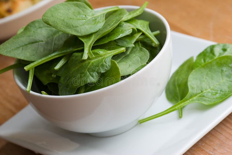 Fresh spinach stock image. Image of ingredient, leaf - 12982681