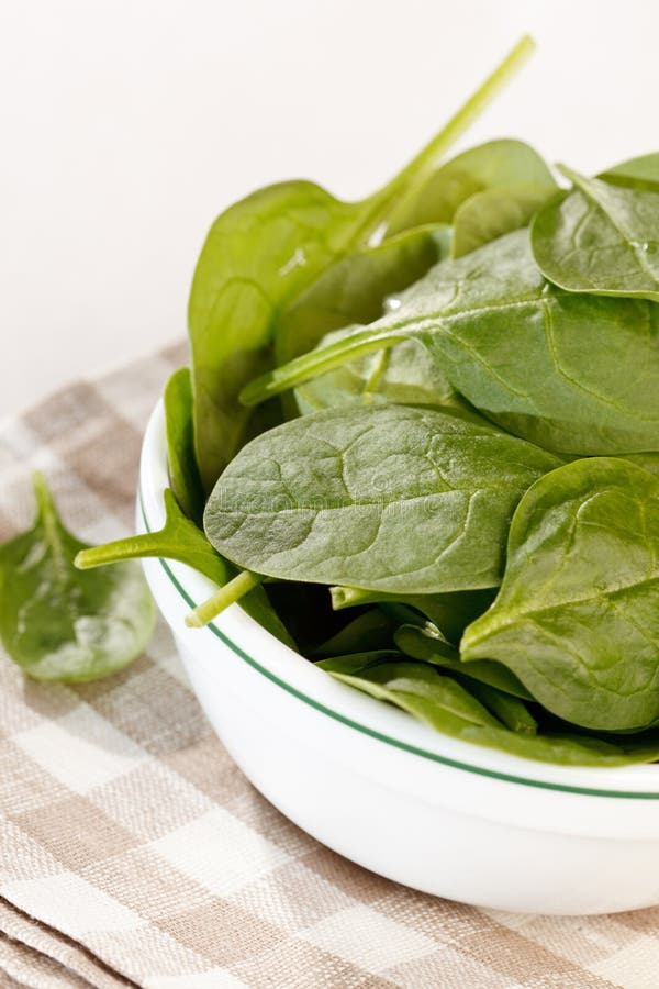 Fresh spinach stock photo. Image of tasty, dish, green - 24523646